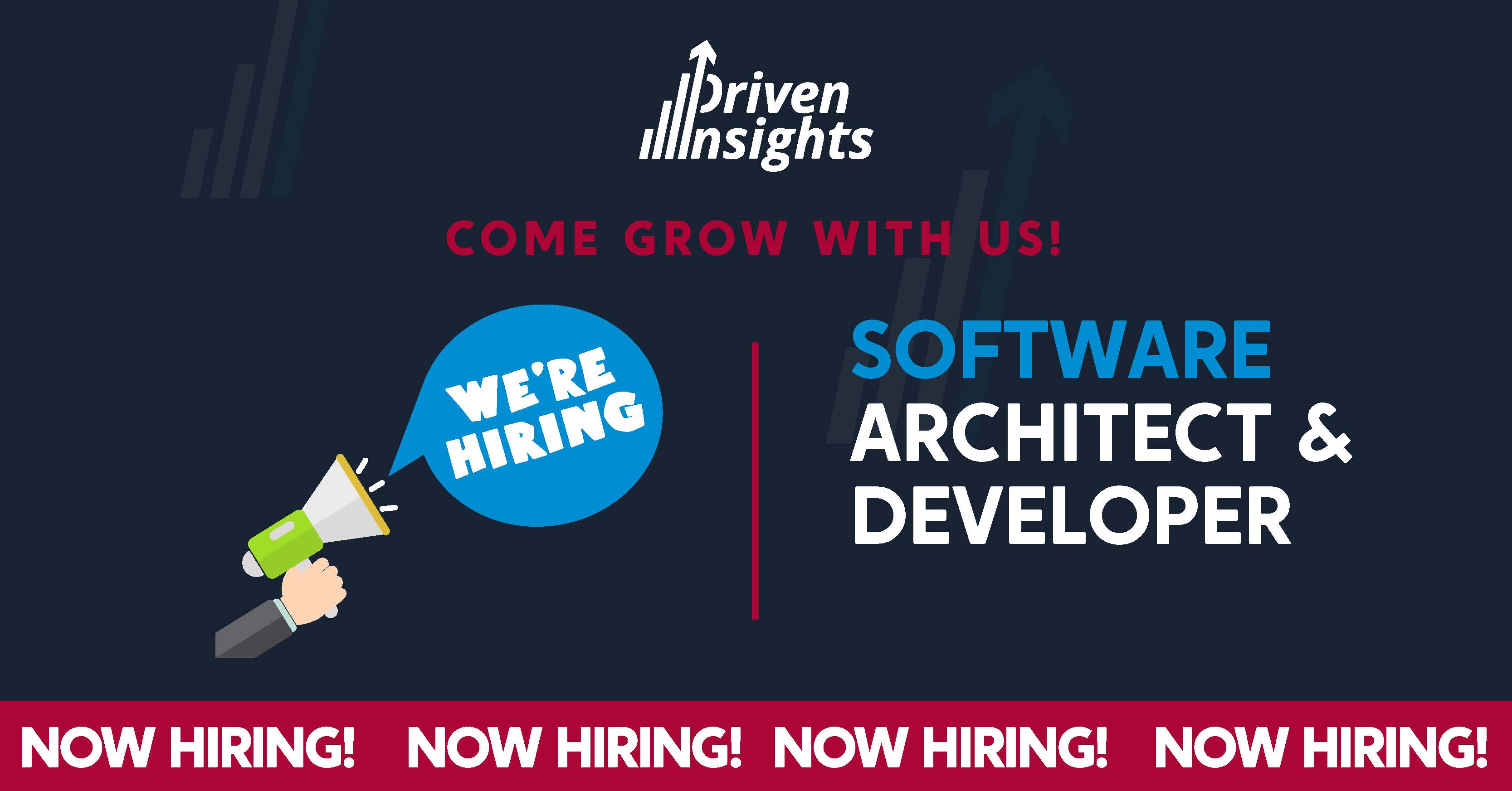 Driven Insights Careers Software Architect And Developer driven-insights-careers-software-architect-and-developer